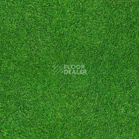 Ковролин ForboFlotex Vision Image 000369 Grass фото 1 | FLOORDEALER